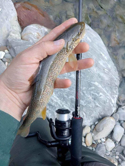 I Nostri Prodotti nelle Mani dei Clienti