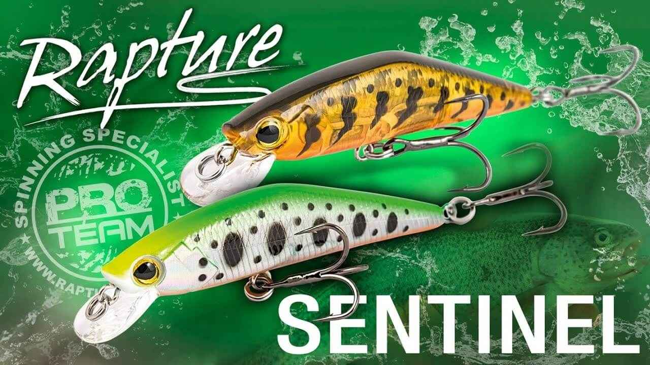 Esche Rigide Artificiali - FISHING TIME, è tempo di pesca!