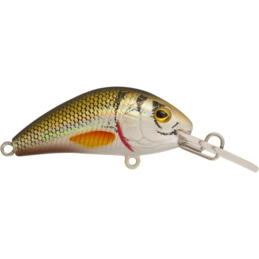 Rapture Pro Evoque F NTG 40mm/3.5g - NATURAL GOLD - FISHING TIME, è tempo di pesca!