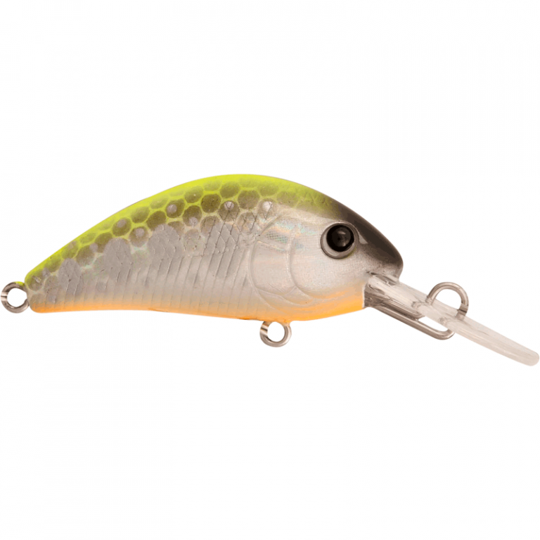 RAPTURE PRO EVOQUE F YNC 40mm/3.5g - YAMAME NATURAL CHART - FISHING TIME, è tempo di pesca!
