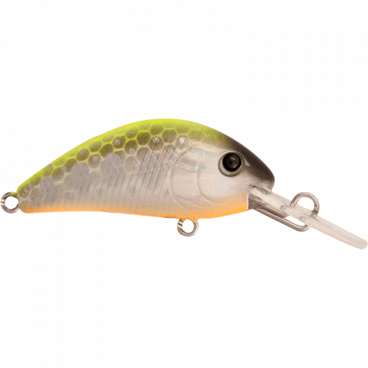 RAPTURE PRO EVOQUE F YNC 40mm/3.5g - YAMAME NATURAL CHART - FISHING TIME, è tempo di pesca!