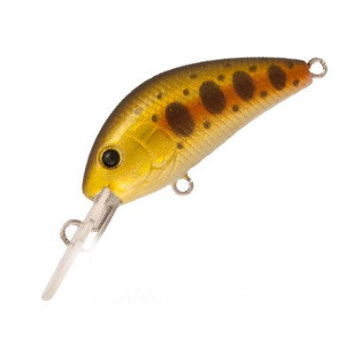 RAPTURE PRO EVOQUE F YNT 40mm/3.5g - YAMAME NATIVE - FISHING TIME, è tempo di pesca!