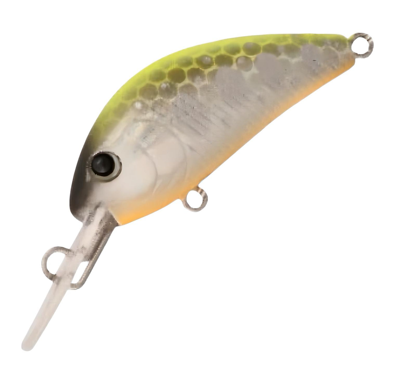 Rapture Pro Evoque Minnow 40mm - 3.5g
